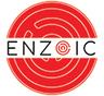 Enzoic for Active Directory Lite