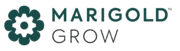 Marigold Grow