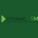 Dynamic DSM