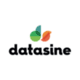 DataSine