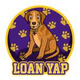Loan Yap