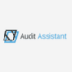Audit Assistant