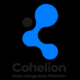 Cohelion Data Platform