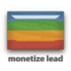 Monetizelead