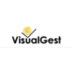 VisualGest RS