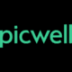 Picwell DX