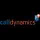 Call Dynamics