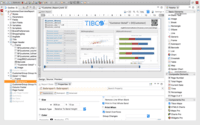 Screenshot of Report Design