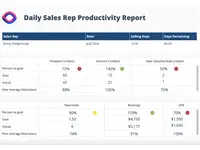 Screenshot of Daily Sales Productivity dashboard example