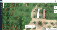 Screenshot of Tree Detection
