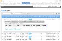 Screenshot of See detailed information about who visits your website: prospects, leads, partners, or competitors.