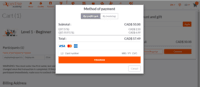 Screenshot of e-commerce checkout