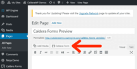 Screenshot of Adding Caldera Forms to a post.