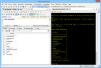 Screenshot of The Secure Shell (SSH) of Aqua Data Studio.