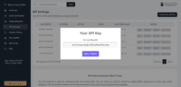 Screenshot of API Key of Reoon Email Verifier