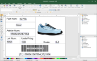 Screenshot of Shoe label created in CODESOFT including the part number, lot number, and GS1-128 barcode.