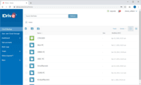 Screenshot of IDrive Web