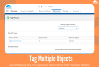 Screenshot of Tag multiple Objects