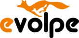 eVolpe Consulting Group