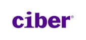 Ciber Desktop Outsourcing