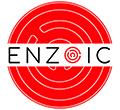Enzoic for Active Directory Lite