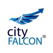 CityFALCON