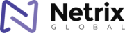 Netrix Global - Cybersecurity Consulting and Advisory Services
