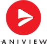 Aniview Video CMS