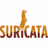 Suricata IDS
