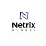Netrix Global - IT Professional Services