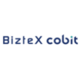 BizteX cobit