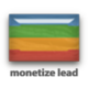 Monetizelead