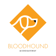Bloodhound