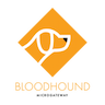 Bloodhound