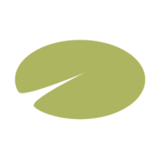 TypePad (discontinued)