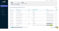 Screenshot of Combined payment methods, currencies, and entities in a single payment file