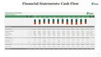 Screenshot of Cash Flow Statement