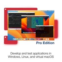 Screenshot of application development and testing in Windows, Linux, and virtual macOS (Pro & Business Edition).