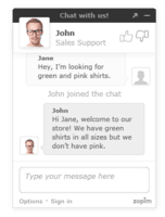 Screenshot of This is how the chat window looks like to your visitors