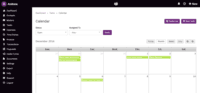 Screenshot of Tasks in Calendar View