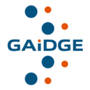 Gaidge Analytics