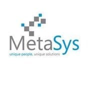 MetaSys Software Services