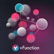 vFunction