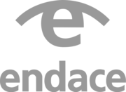 EndaceVision