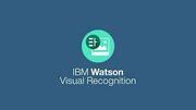 IBM Watson Visual Recognition (discontinued)
