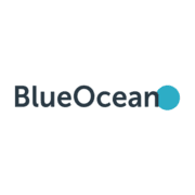 BlueOcean Brand Navigator