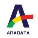 Anadata consulting Inc