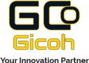 Gicoh Secondary Sales Management Software