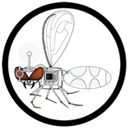 Hoverfly (Open Source)