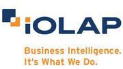 iOLAP Big Data Architect Solutions